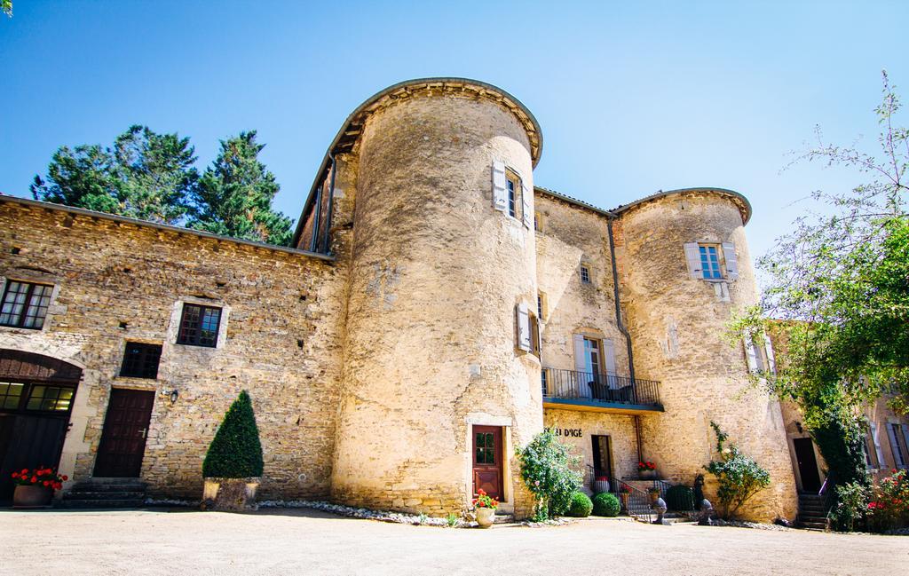 Chateau D'Ige Bagian luar foto