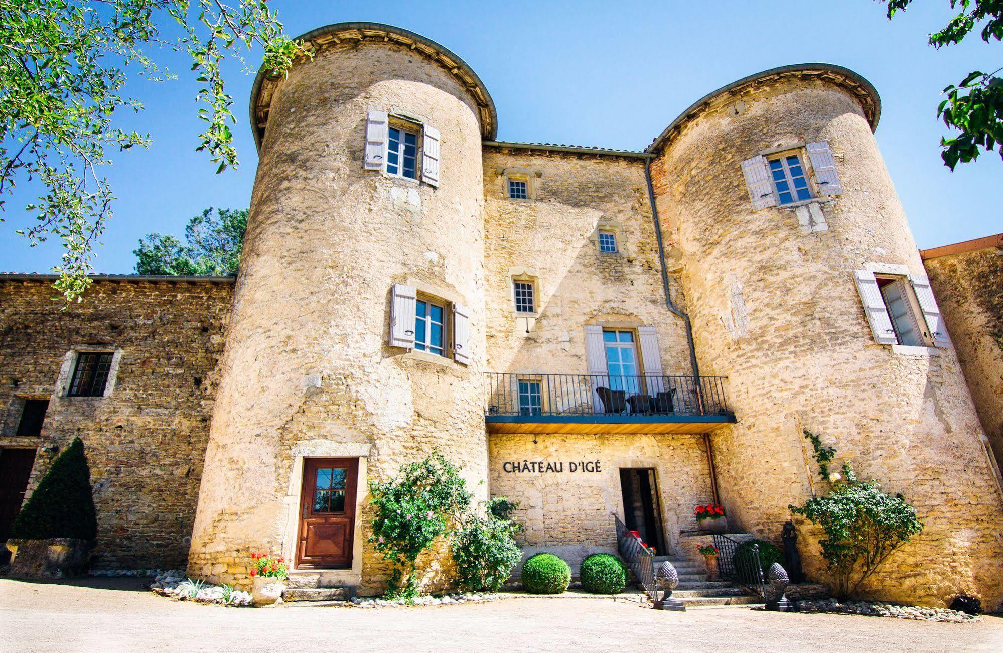 Chateau D'Ige Bagian luar foto